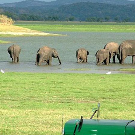 Elephas Resort Sigiriya Luaran gambar